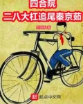 四合院:二八大杠追尾秦京茹