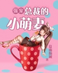 强宠:总裁的小萌妻 夏雨倾城
