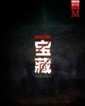 宝藏（谜小说系列）