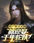 紫衣天尊 天道宗的一本小说