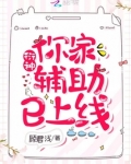 衍神,你家辅助已上线!简介
