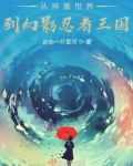 乐高幻影忍者17季全集免费观看