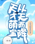 天才萌宝从天而降小说阅读