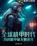 我的机甲时代 小说
