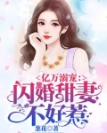 亿万溺宠:闪婚甜妻不好惹