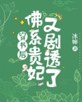 穿书后,佛系贵妃又剧透了