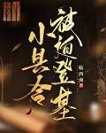 小县令被迫登基(基建)最新