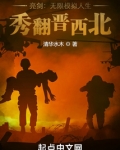 亮剑：无限模拟人生，秀翻晋西北