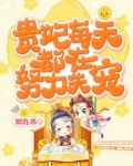 贵妃每天都在努力失宠 卿九书