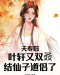 叶轩修仙小说