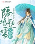 隔墙梨雪又玲珑结局