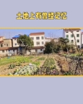 土地上到处都有