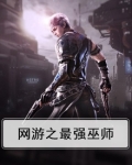 网游之巫师传奇 小说