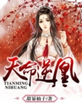天命逆凰之假小子拽翻天TXT