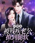 闪婚夜,被残疾老公撩到腿软