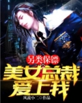 另类保镖:美女总裁爱上我