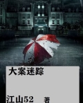 大案迷踪 小说