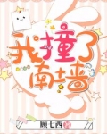 我撞了南墙是什么歌