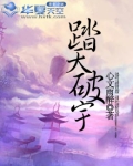 踏破天际什么意思