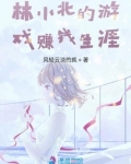 林小北小说叫什么名字