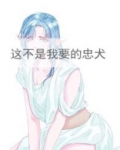 这不是我要的忠犬 小说
