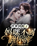 妈咪,渣爹又来了
