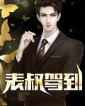 表叔来了是什么意思