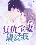 复仇宝妻请爱我