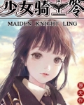 少女骑士零