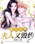 报告总裁,夫人又毁约了小说