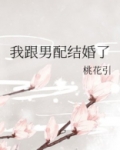我跟男配结婚了小说
