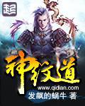 神纹道等级