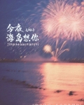 今夜海岛想你