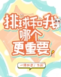 我和排球哪个更重要第二十章