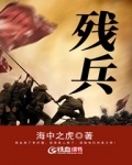 残兵TXT免费下载