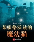某魔法的霍格沃茨剧情