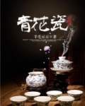 镇宅青花瓷txt