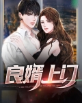 上门豪婿电视剧