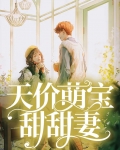 天价萌宝甜甜妻又叫什么名