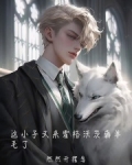 霍格沃茨小恶魔