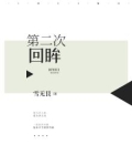 第二次回眸作文800字