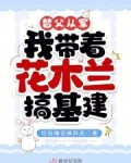 替父从军花木兰手感怎么样