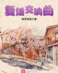复婚进行曲小说