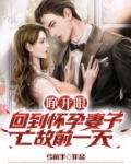 睁开眼回到怀孕妻子亡故前一天免费阅读
