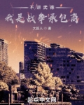 不讲武德,我是战争承包商下载