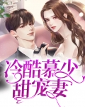 慕少狂宠高冷妻