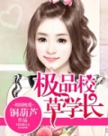 校草级学霸