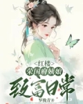 红楼荣国府姨娘致富日常26