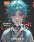 有一个小说叫什么霓裳