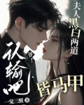 爷!认输吧,夫人黑白两道皆马甲的作者